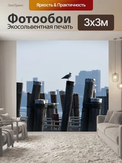 Фотообои Нью-Йорк Голубь