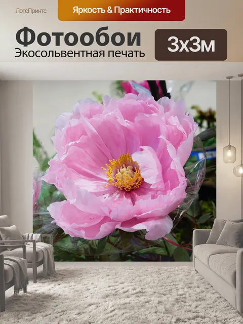 Фотообои Пион