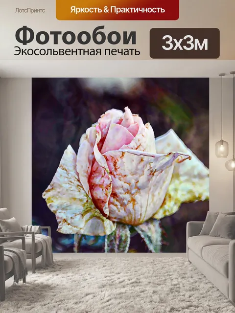 Фотообои Окрашенные увядшей розы