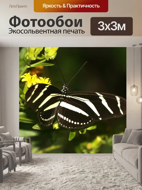 Фотообои бабочка