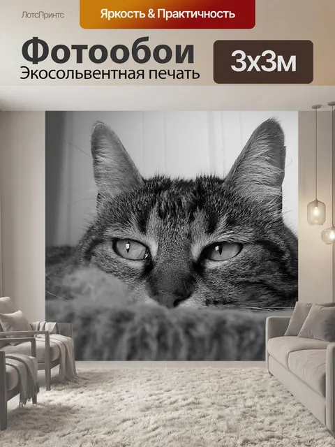 Фотообои Кошка