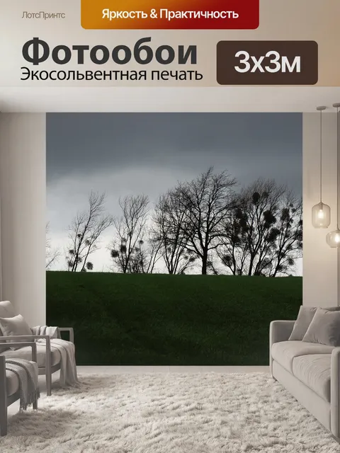 Фотообои Деревья