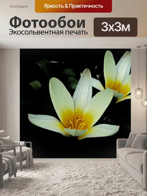 Фотообои Тюльпаны