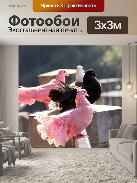 Фотообои Голуби