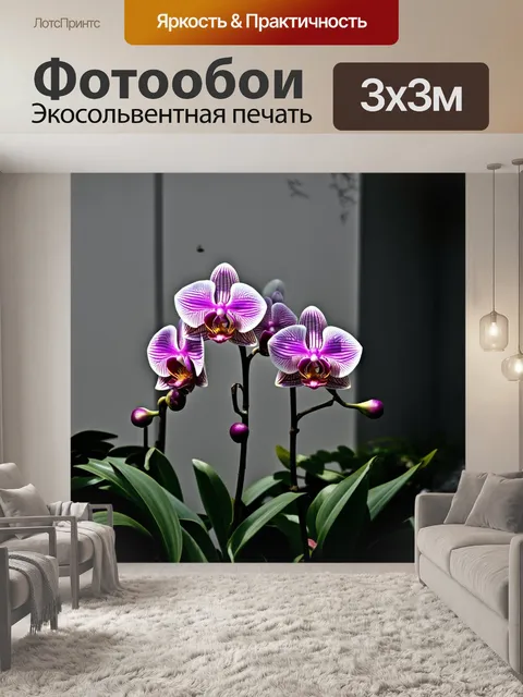 Фотообои нежные орхидеи расцветают в мрачном усадебном саду, их цвета ярко выделяются на фоне серых стен