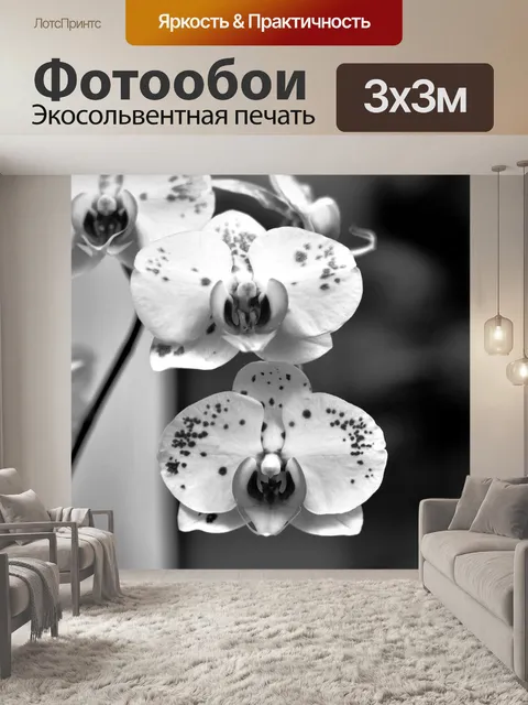 Фотообои Орхидеи