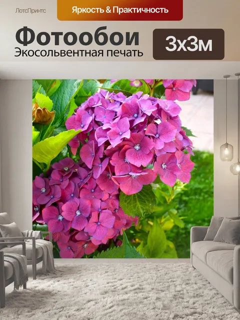 Фотообои Гортензии