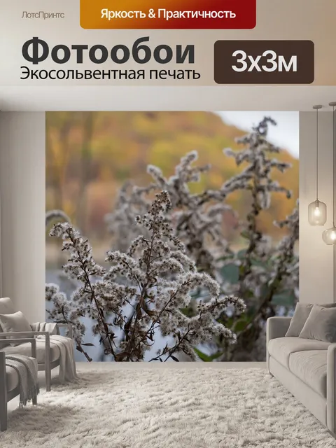 Фотообои Цветы
