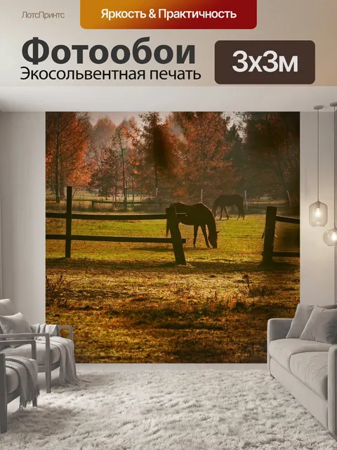 Фотообои Лошади