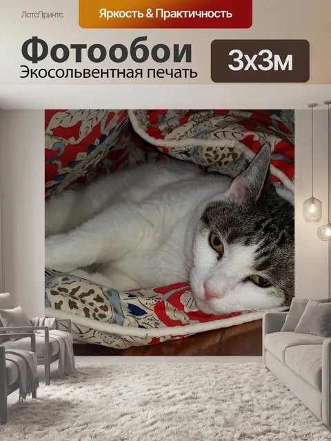 Фотообои Кошка