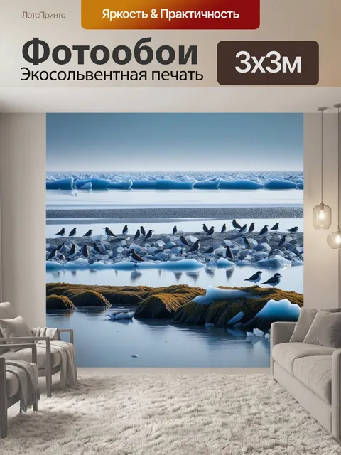 Фотообои птицы, собирающиеся вокруг ледяного берега