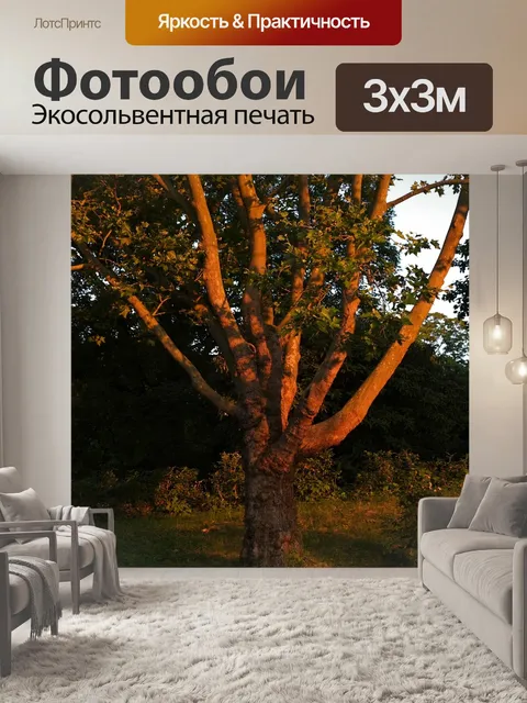 Фотообои Дерево