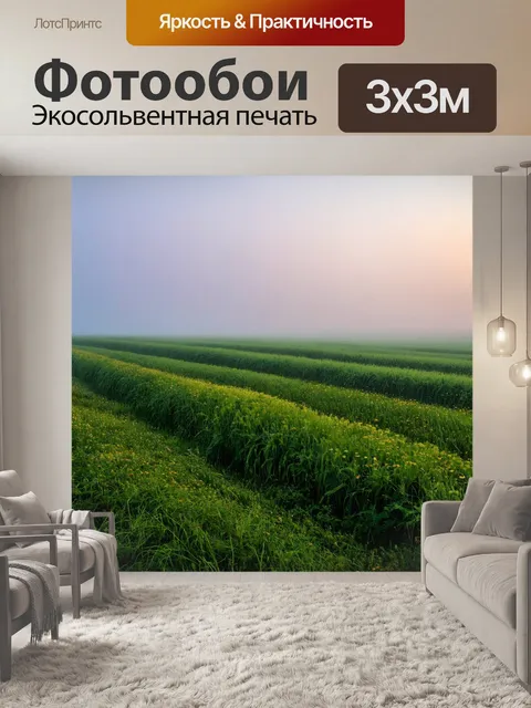 Фотообои туман в стиле максимализм