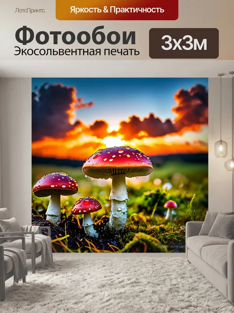 Фотообои в закатных солнечных лучах