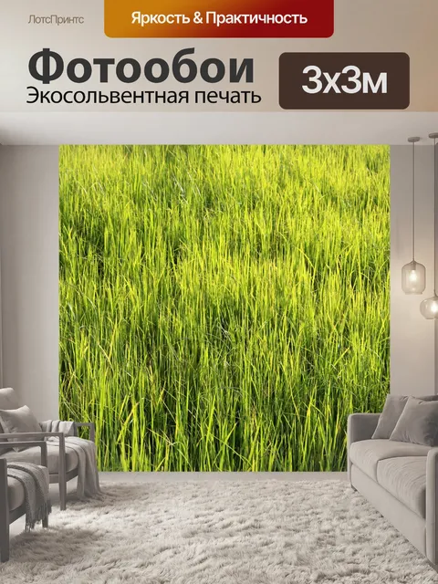 Фотообои Зеленое рисовое поле