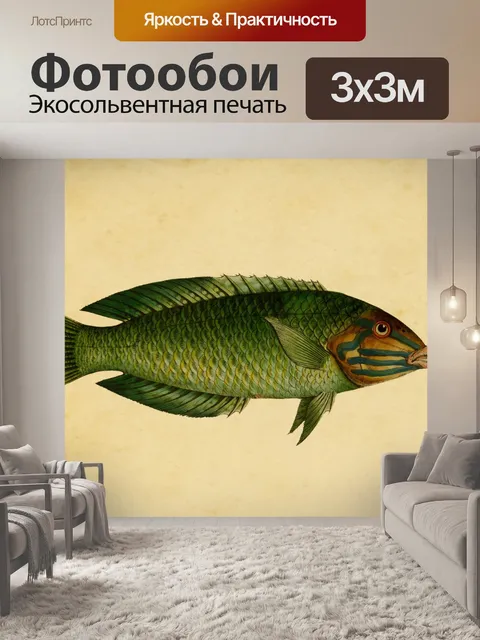 Фотообои Рыба Губан Винтаж Искусство