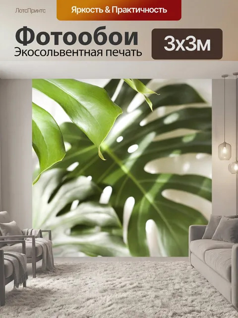 Фотообои Монстера