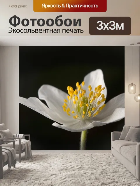 Фотообои Древесные анемоны
