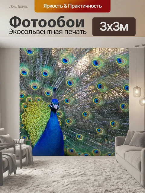 Фотообои Павлин