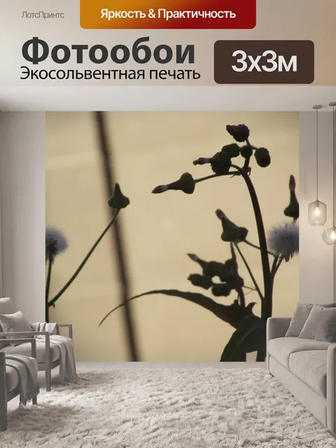 Фотообои одуванчика во дворе