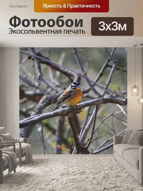 Фотообои Дерево