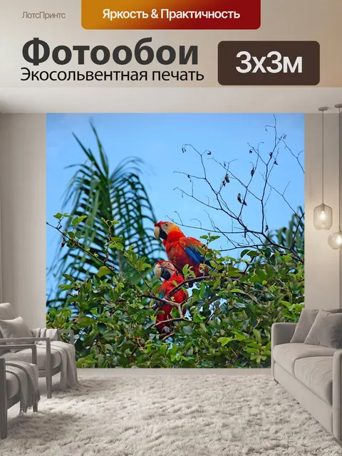 Фотообои Попугаи