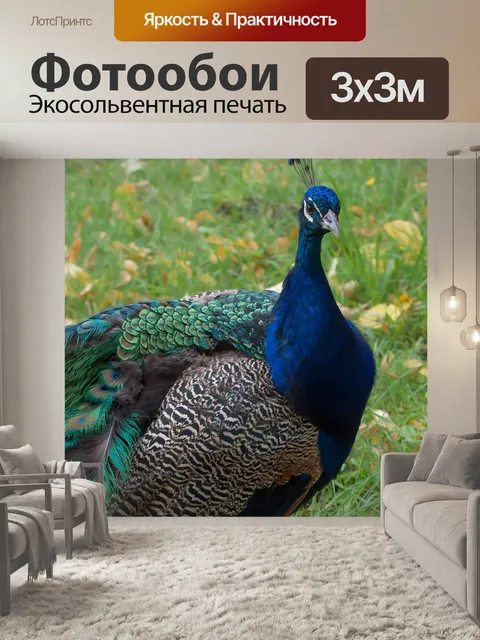Фотообои Птица