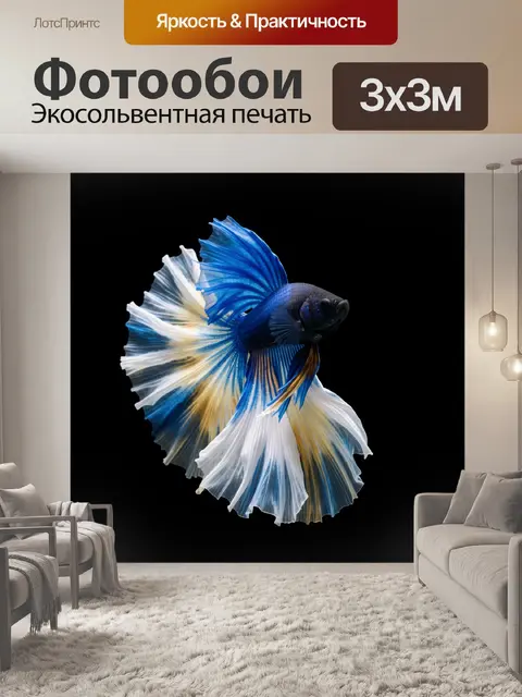 Фотообои Синяя бойцовая рыбка бетта