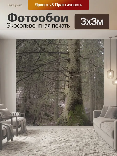 Фотообои Лес
