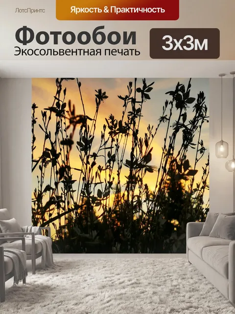 Фотообои Заход солнца