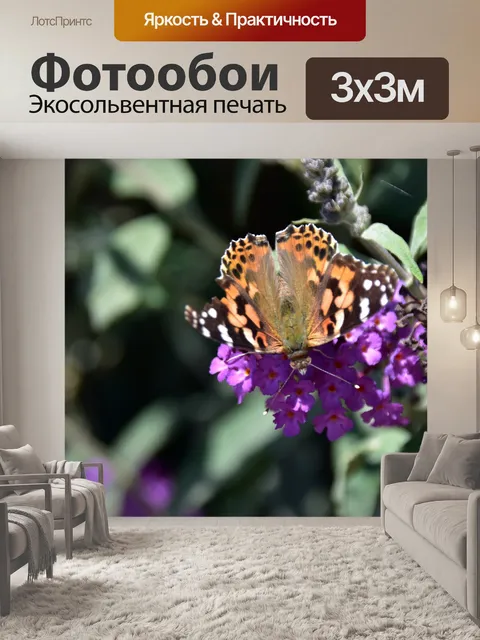 Фотообои Нарисованная Леди Бабочка на Лаванде