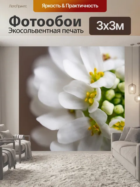 Фотообои Цветы