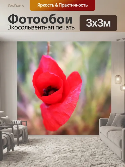 Фотообои Мак