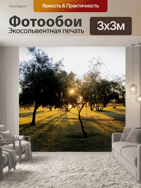 Фотообои Затяжной ВС