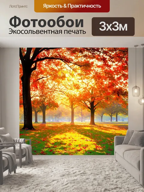 Фотообои рассвет в старом парке, засыпанном листьями, с игривым светом, проходящим сквозь деревья