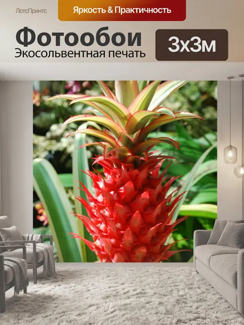 Фотообои Цветок