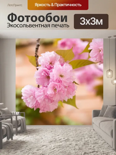 Фотообои Цветение вишни