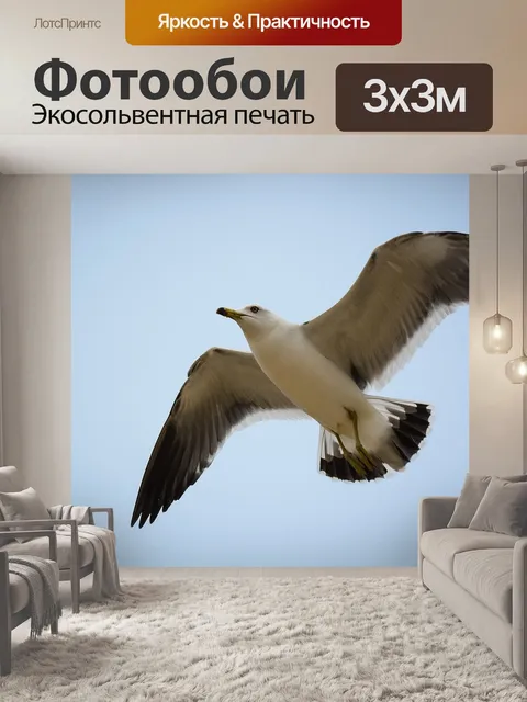 Фотообои Птица