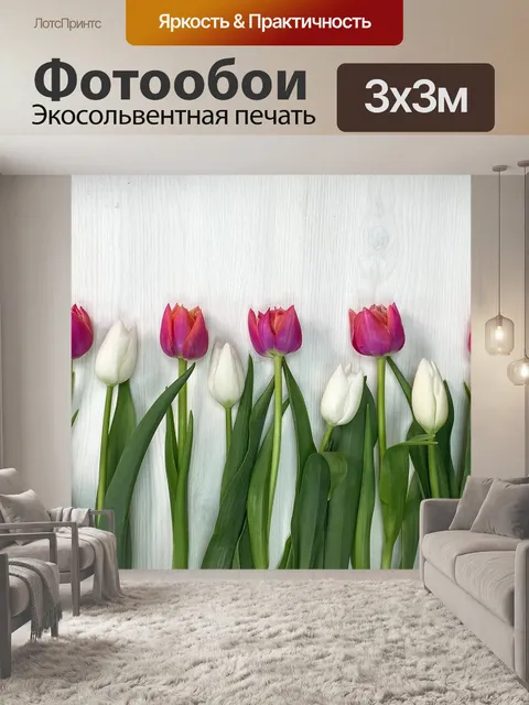 Фотообои Тюльпаны
