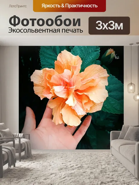 Фотообои Персиковый цвет