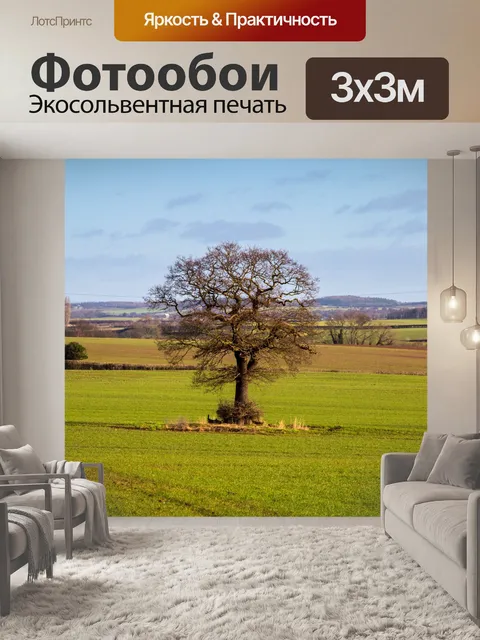 Фотообои Пейзаж