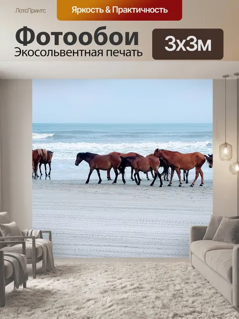 Фотообои Лошадь