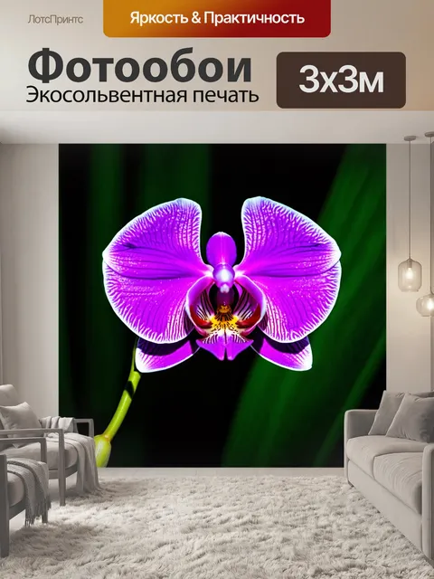 Фотообои орхидея в креативной абстрактной форме и цвете