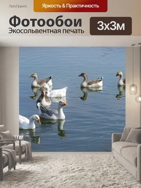 Фотообои Птицы
