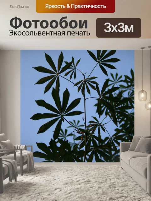 Фотообои Рука формы декоративных листьев папайя