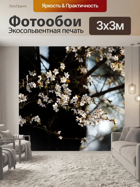 Фотообои Цветение вишни