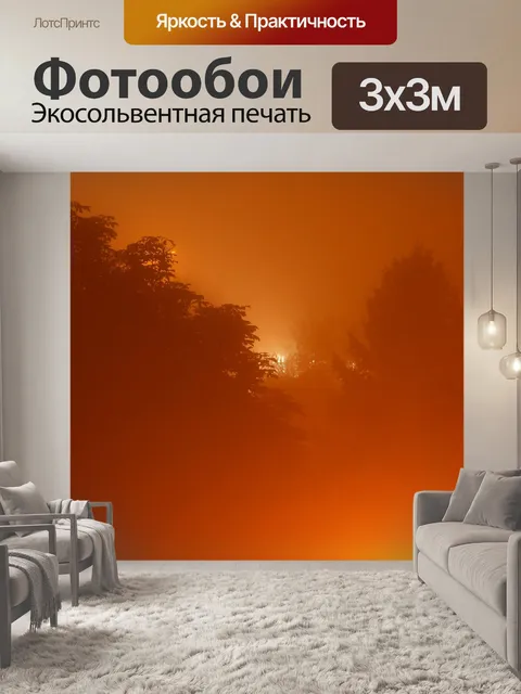 Фотообои Туман