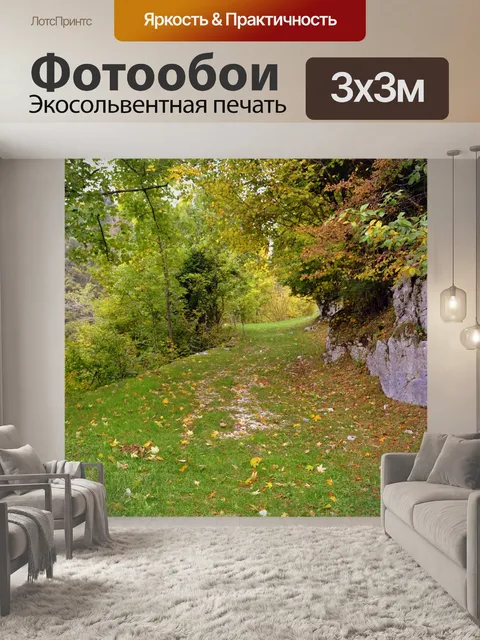 Фотообои Тропа