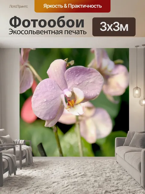 Фотообои Ботанический сад