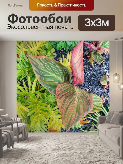 Фотообои Лиственные растения